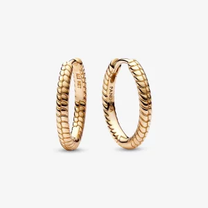 (תמונה ל-) Pandora Moments Small Charm Hoop עגילי - 262728C00