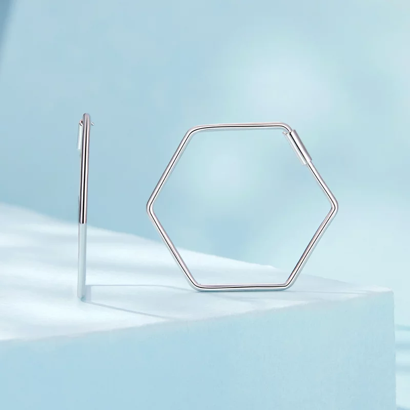 (תמונה ל-) עגילי משושה פשוטים בסגנון PANDORA - SCE1710 - הצג 2