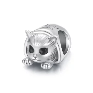 (תמונה ל-) PANDORA Style Cozy Cat House קסם - SCC2797