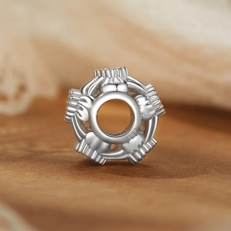 (תמונה ל-) חרוזי קשת בסגנון PANDORA - BSC1056 - הצג 3