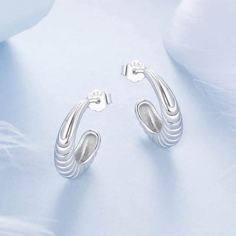(תמונה ל-) עגילי טקסטורת טמפרמנט PANDORA Style - BSE1058 - הצג 3