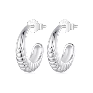 (תמונה ל-) עגילי טקסטורת טמפרמנט PANDORA Style - BSE1058