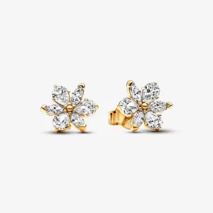 (תמונה ל-) Pandora Sparkling Herbarium עגילי אשכול צמודים - 262633C01