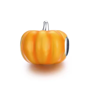 (תמונה ל-) פנדורה סטייל צ'ארמ כסף דלעת חמודה - BSC333