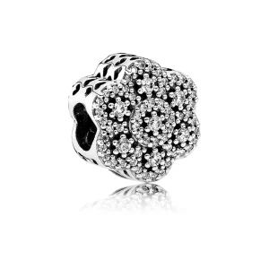 (תמונה ל-) פנדורה צ'ארמ כסף פרח קפוא - 791998cz